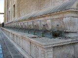 IMG_7585.JPG