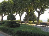 IMG_7594.JPG