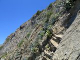 IMG_2246.JPG
