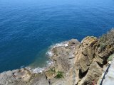 IMG_2250.JPG