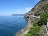 IMG_2251.JPG
