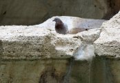IMG_3852.JPG