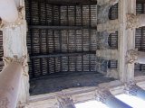 IMG_9687.JPG