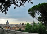IMG_9419.JPG