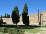IMG_4859.JPG