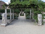 IMG_4685.JPG