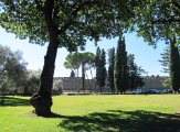 IMG_0264.JPG