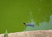 IMG_0275.JPG