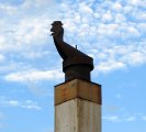 IMG_4417.JPG