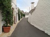 IMG_4433.JPG