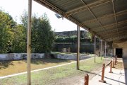 IMG_0896.JPG
