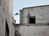 IMG_0225.JPG
