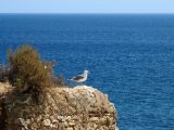 IMG_1093.JPG