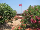 IMG_1536.JPG
