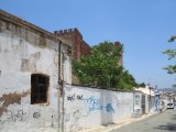 IMG_8205.JPG