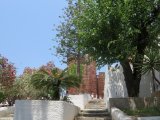 IMG_8208.JPG